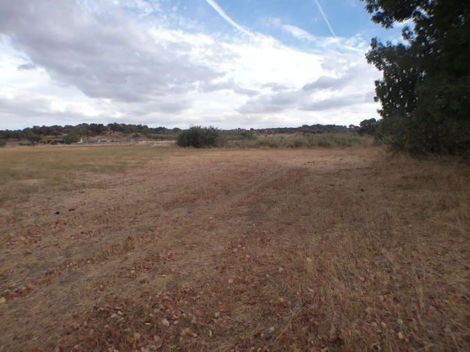 Terreno Agricola ou Rústico para Venda em Barbacena e Vila Fernando Foto 10