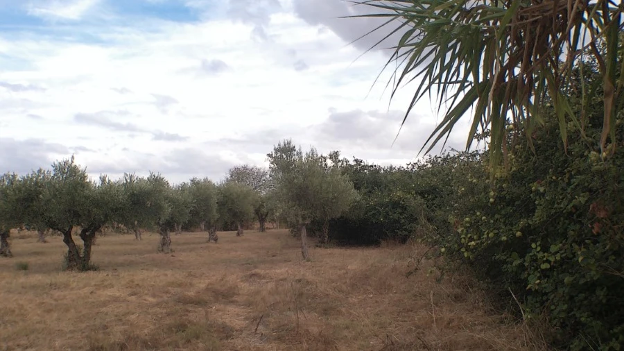 Terreno Agricola ou Rústico para Venda em Barbacena e Vila Fernando