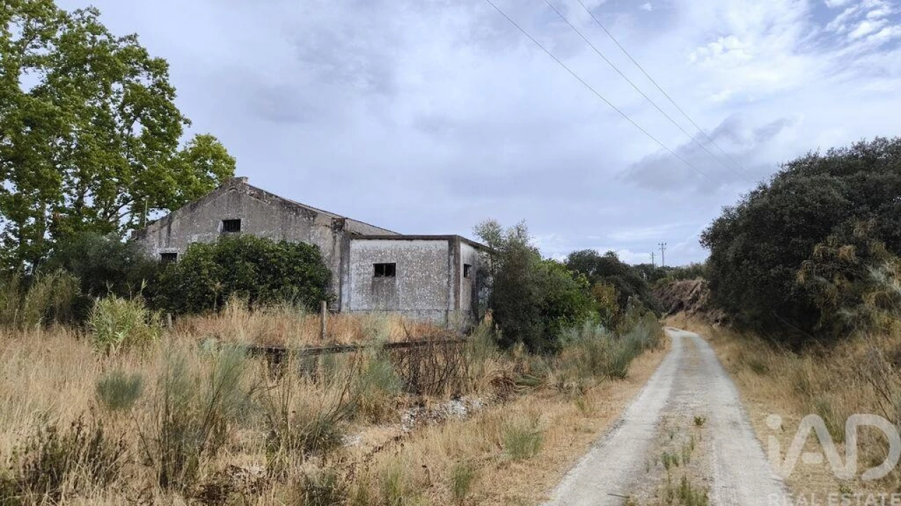 Terreno para Venda em Cabeço de Vide Foto 8