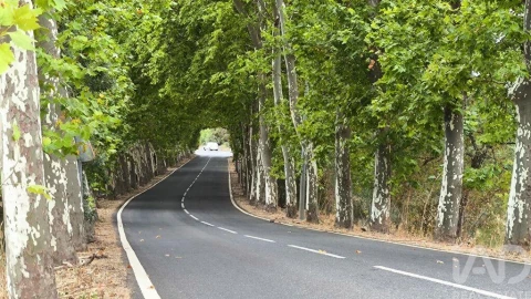 Terreno para Venda em Cabeço de Vide
