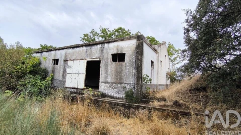 Terreno para Venda em Cabeço de Vide