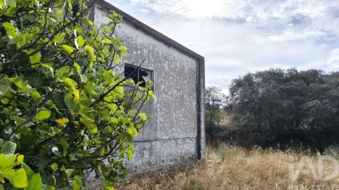 Terreno para Venda em Cabeço de Vide