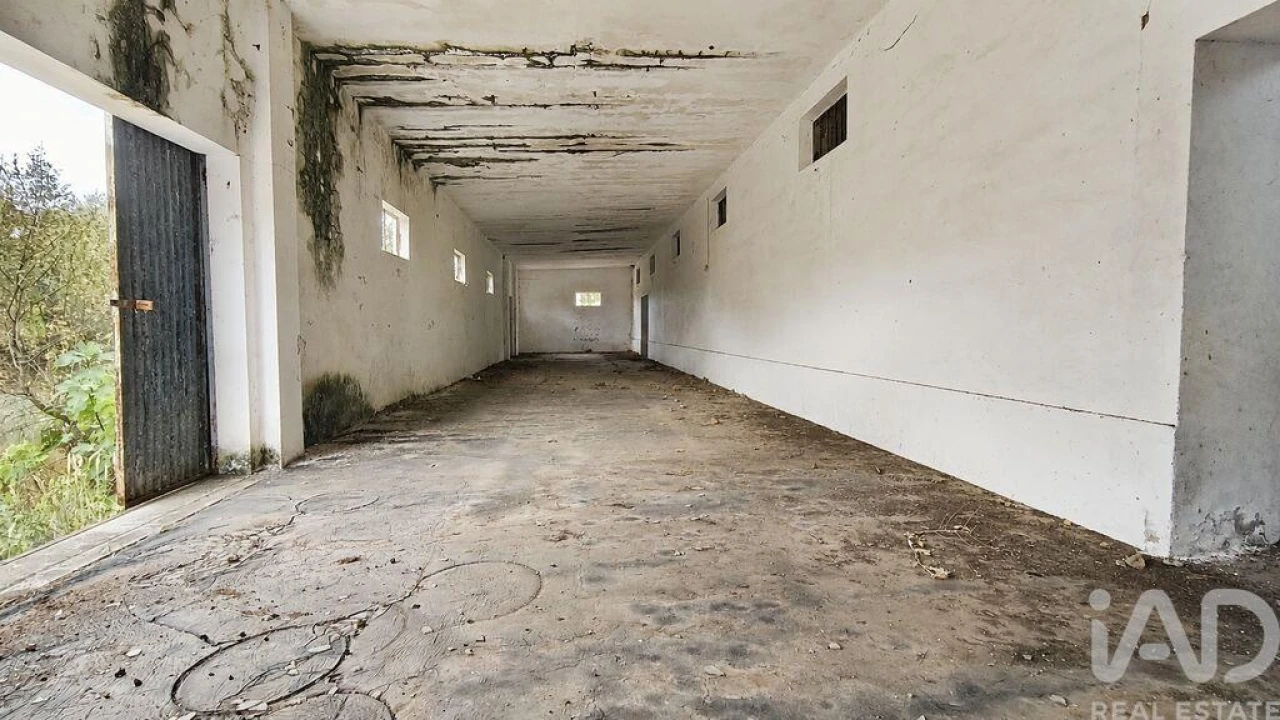 Terreno para Venda em Cabeço de Vide Foto 2