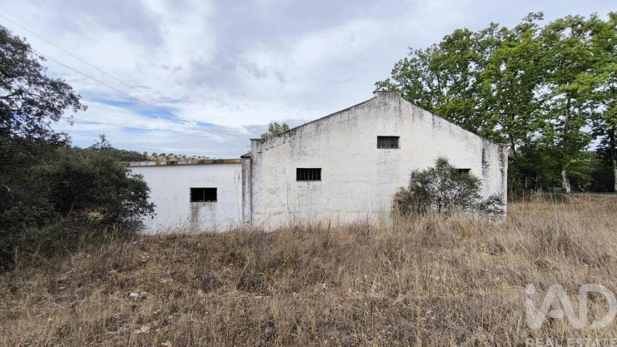 Terreno para Venda em Cabeço de Vide Foto 7