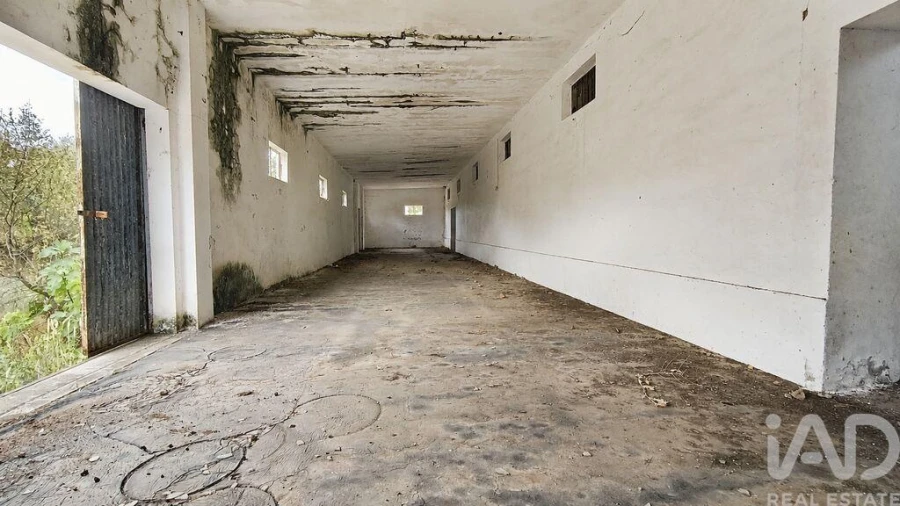 Terreno para Venda em Cabeço de Vide Foto 2