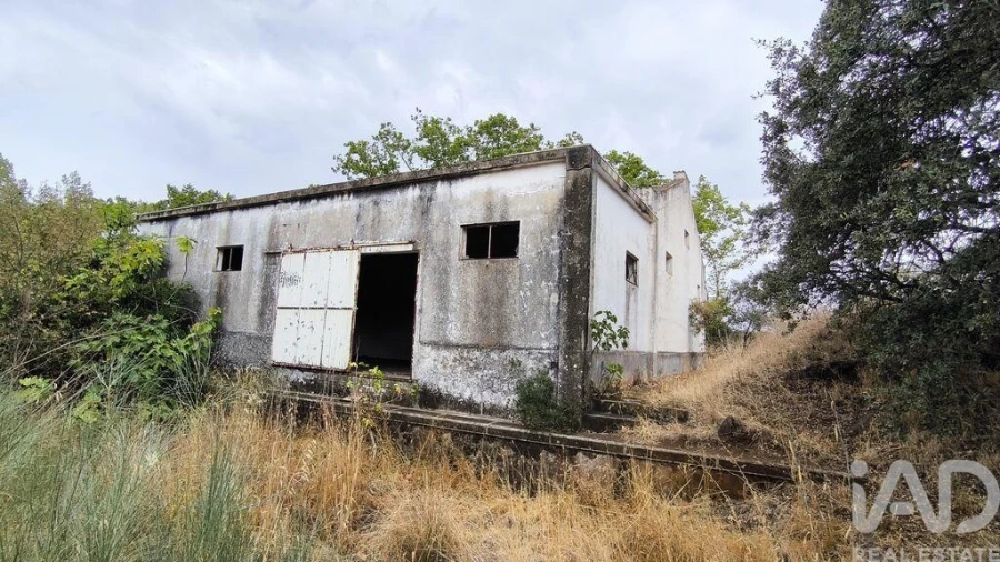 Terreno para Venda em Cabeço de Vide Foto 11