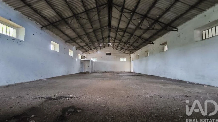Terreno para Venda em Cabeço de Vide Foto 9