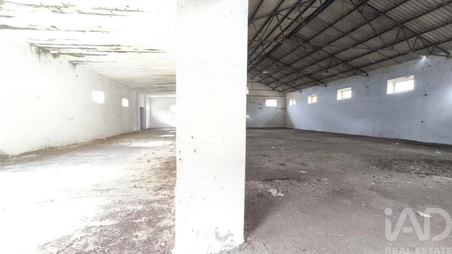 Terreno para Venda em Cabeço de Vide Foto 12