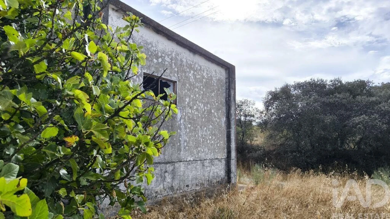 Terreno para Venda em Cabeço de Vide Foto 6