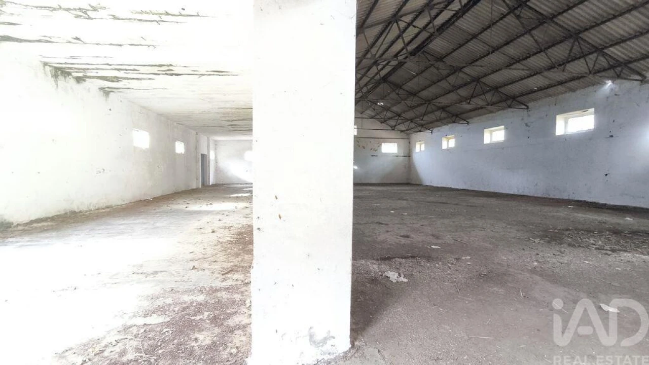 Terreno para Venda em Cabeço de Vide Foto 12