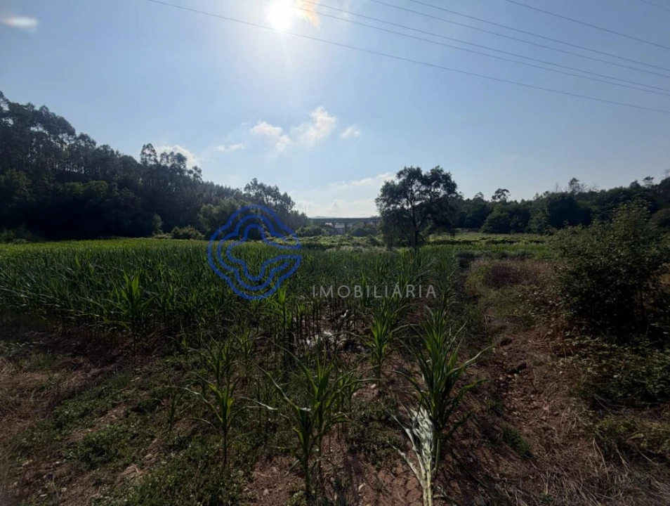 Terreno para Venda em Gandra Foto 10