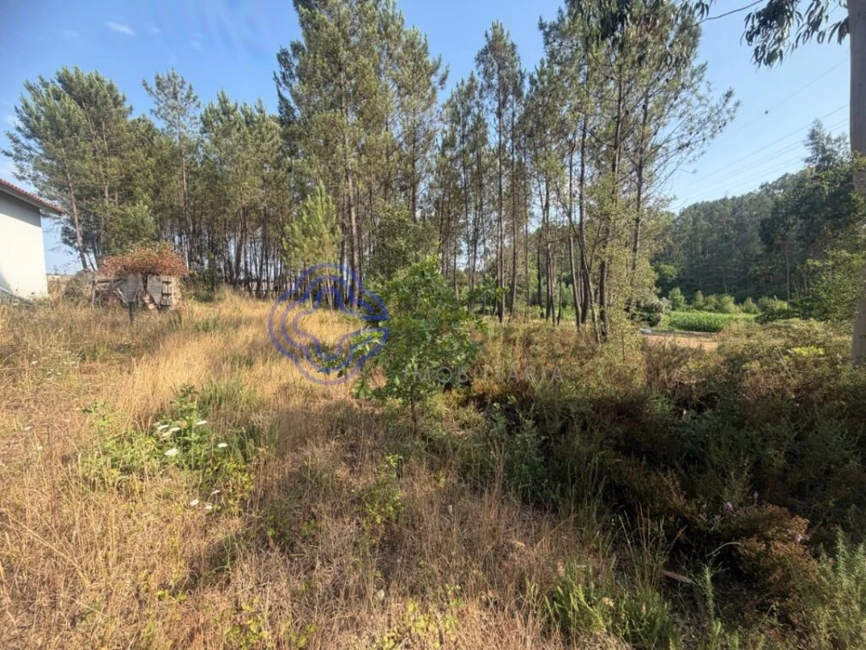 Terreno para Venda em Gandra Foto 4