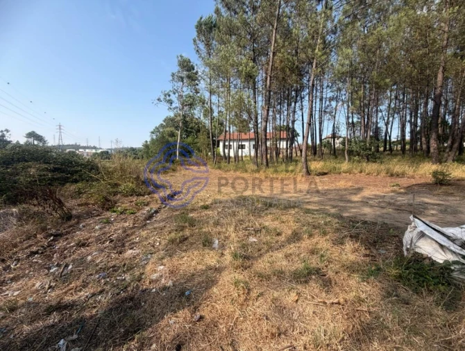 Terreno para Venda em Gandra Foto 5