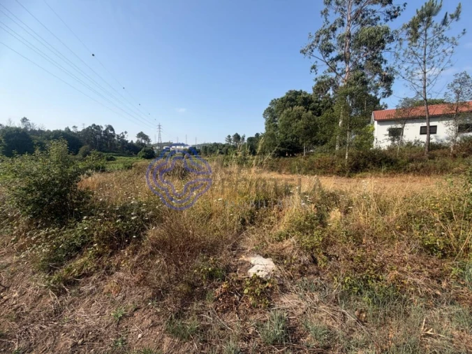 Terreno para Venda em Gandra Foto 9