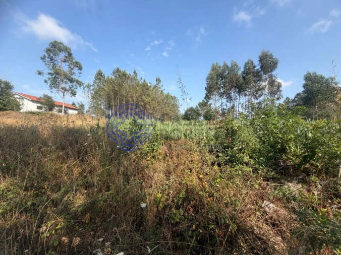 Terreno para Venda em Gandra Foto 8