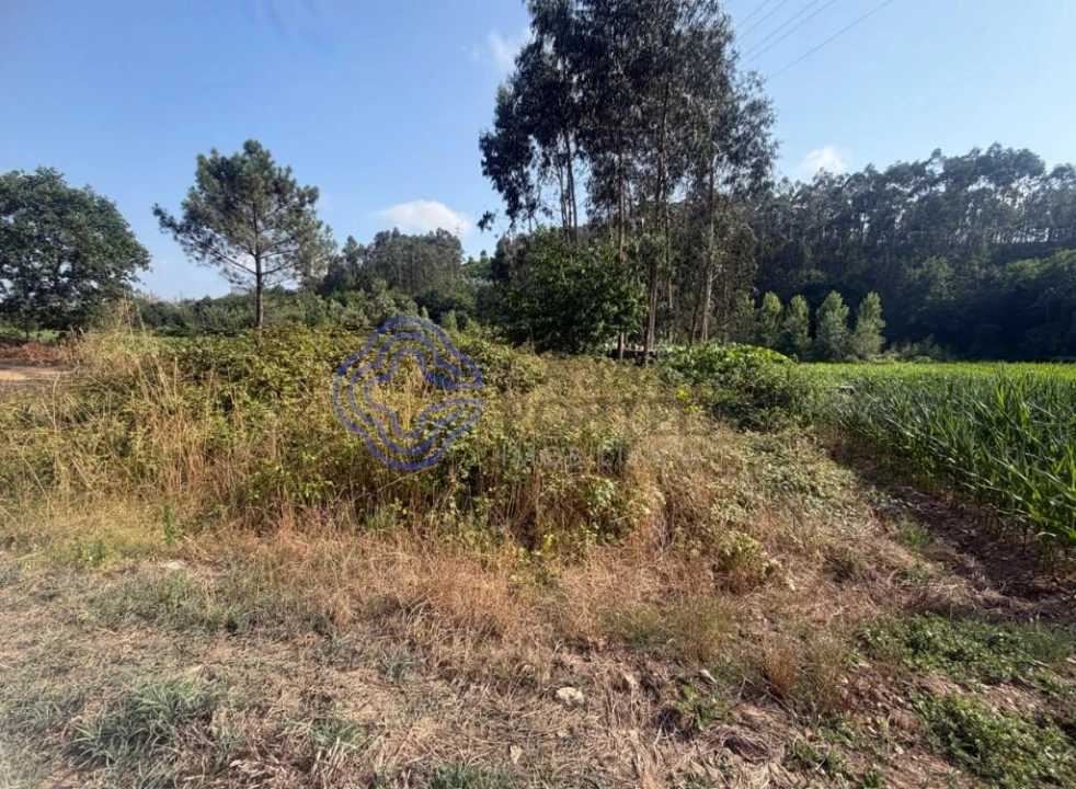Terreno para Venda em Gandra Foto 6