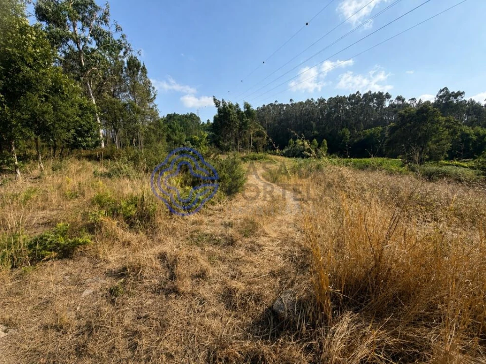 Terreno para Venda em Gandra Foto 3