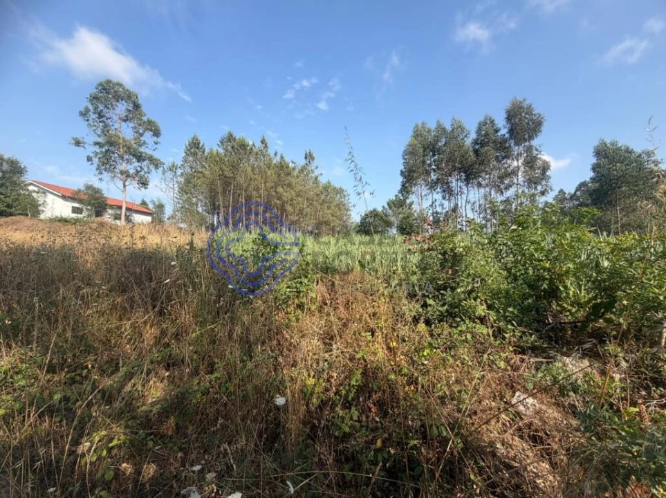 Terreno para Venda em Gandra Foto 8