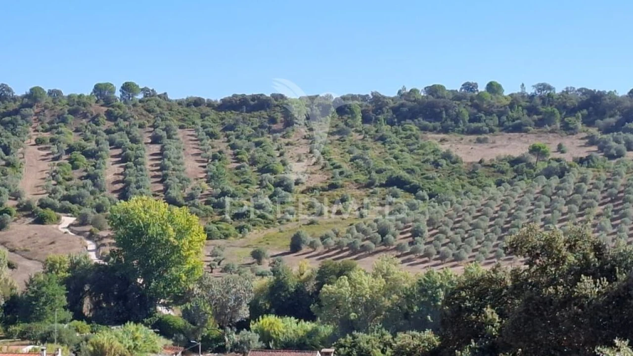 Terreno para Venda em Malhou, Louriceira e Espinheiro Foto 2