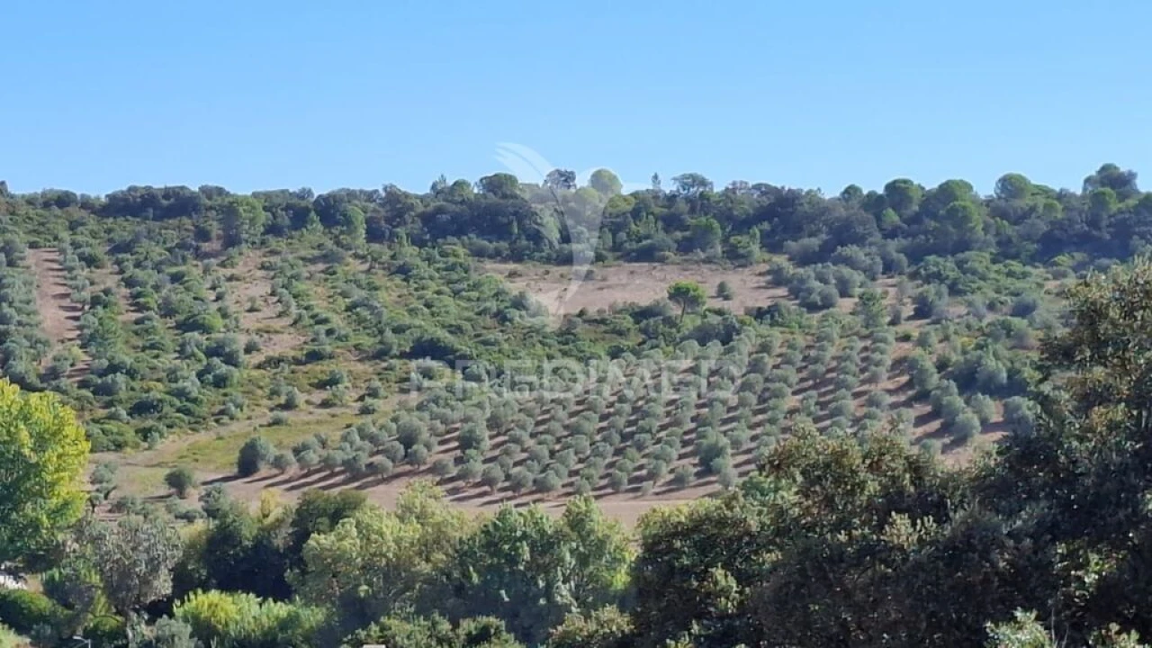 Terreno para Venda em Malhou, Louriceira e Espinheiro Foto 7