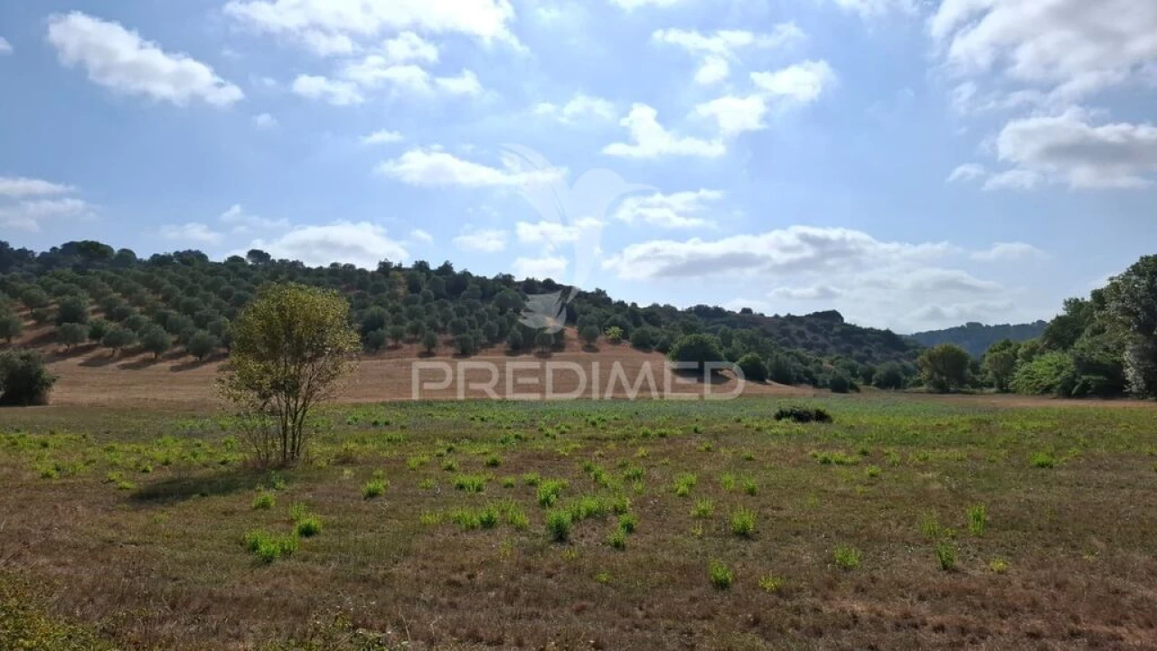 Terreno para Venda em Malhou, Louriceira e Espinheiro Foto 5