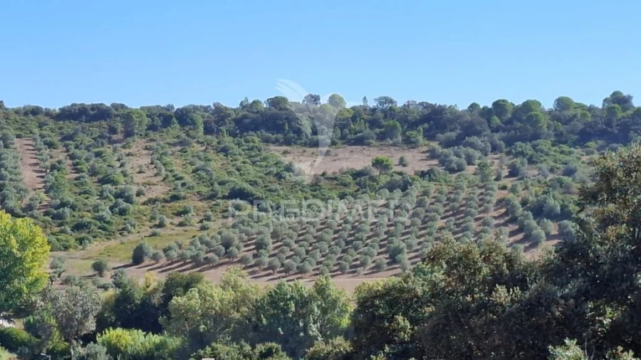 Terreno para Venda em Malhou, Louriceira e Espinheiro Foto 7