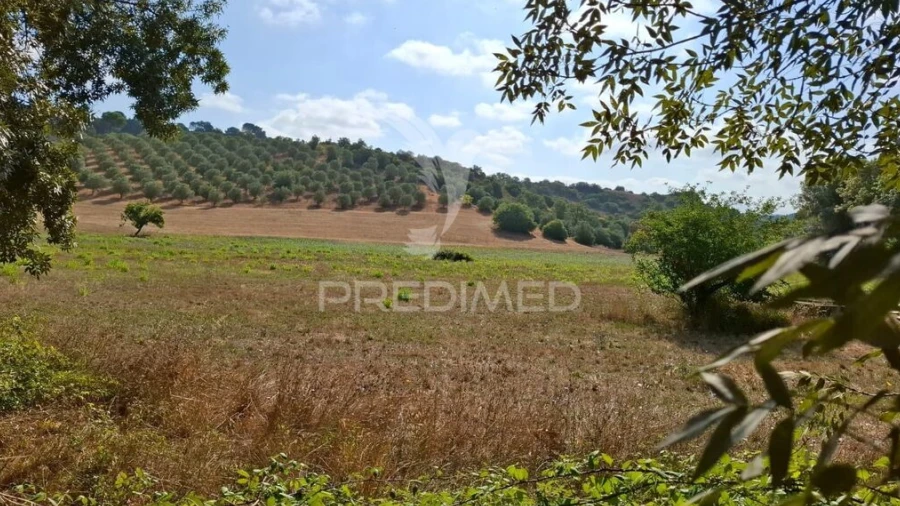 Terreno para Venda em Malhou, Louriceira e Espinheiro
