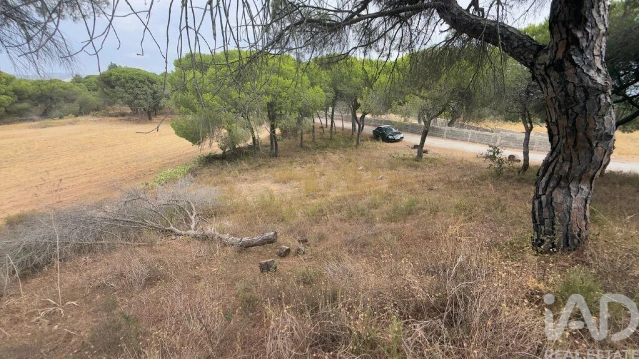 Terreno para Venda em Quarteira Foto 13