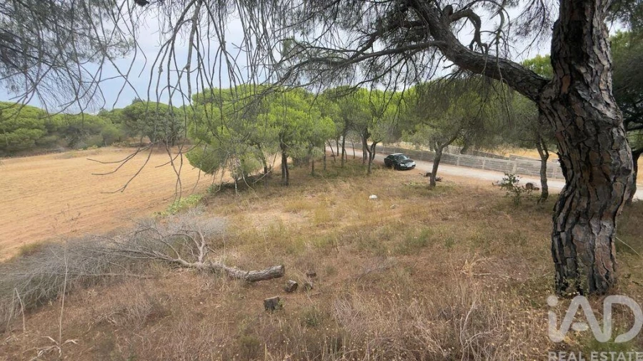 Terreno para Venda em Quarteira Foto 11
