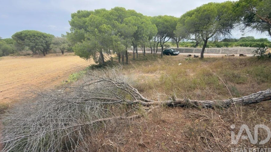 Terreno para Venda em Quarteira Foto 16