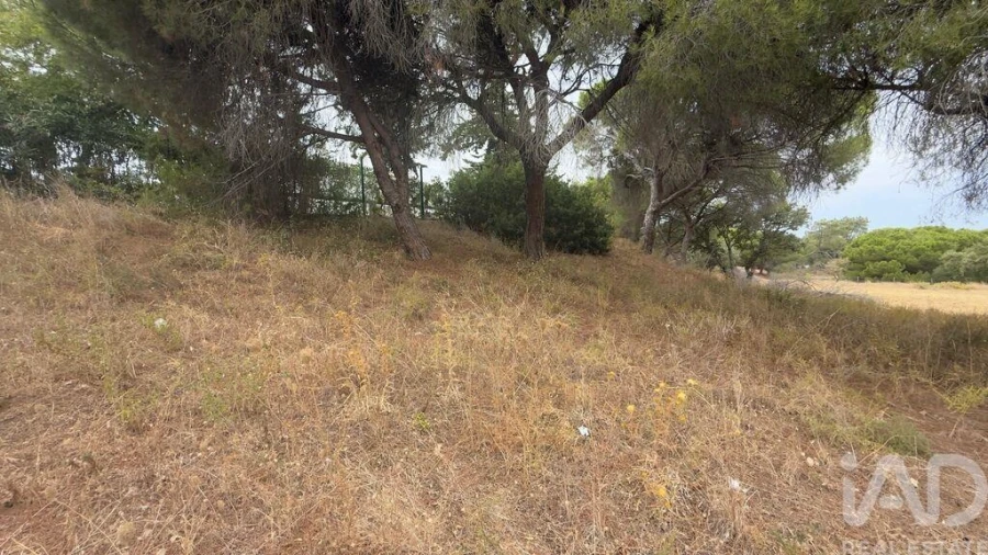 Terreno para Venda em Quarteira Foto 9