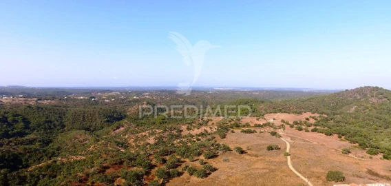 Terreno para Venda em São Francisco da Serra