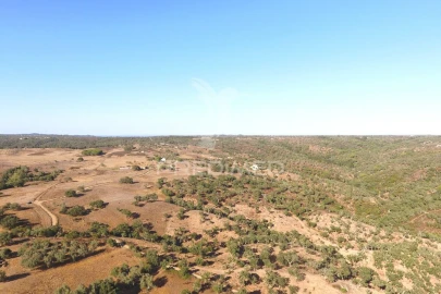 Terreno para Venda em São Francisco da Serra