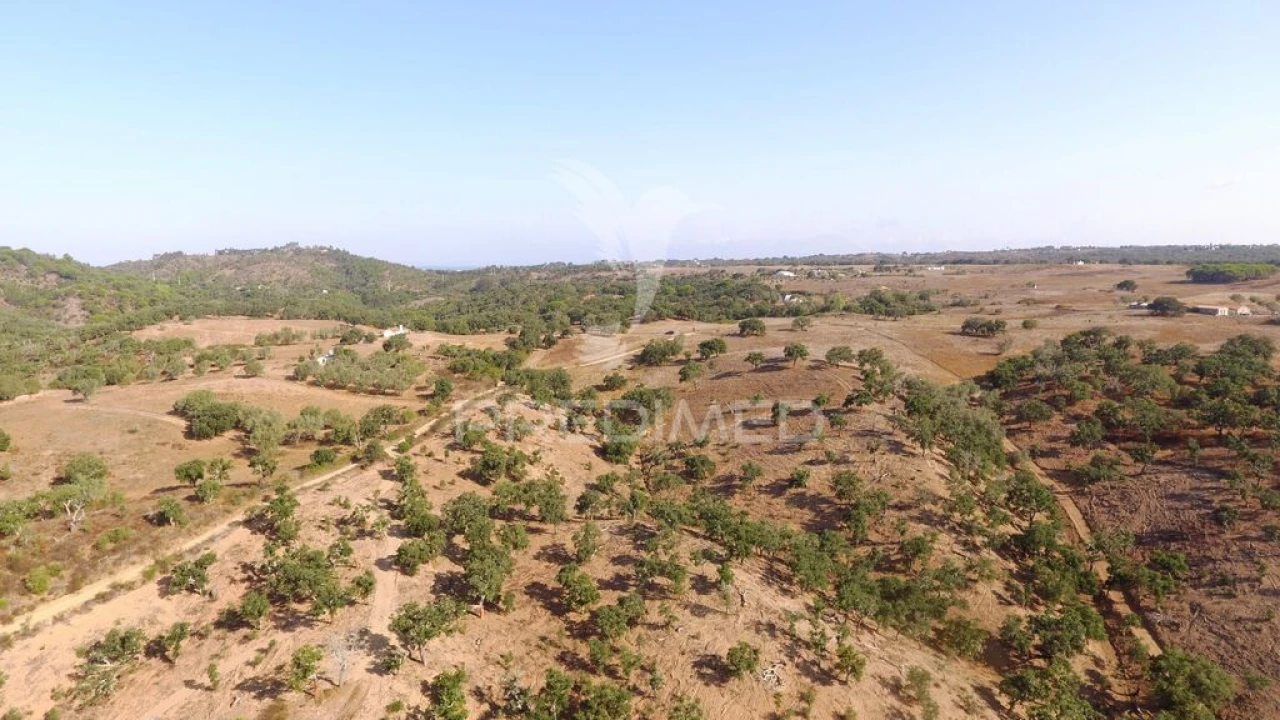 Terreno para Venda em São Francisco da Serra Foto 8