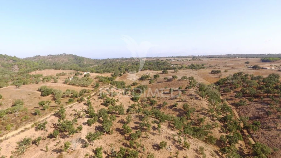 Terreno para Venda em São Francisco da Serra Foto 8