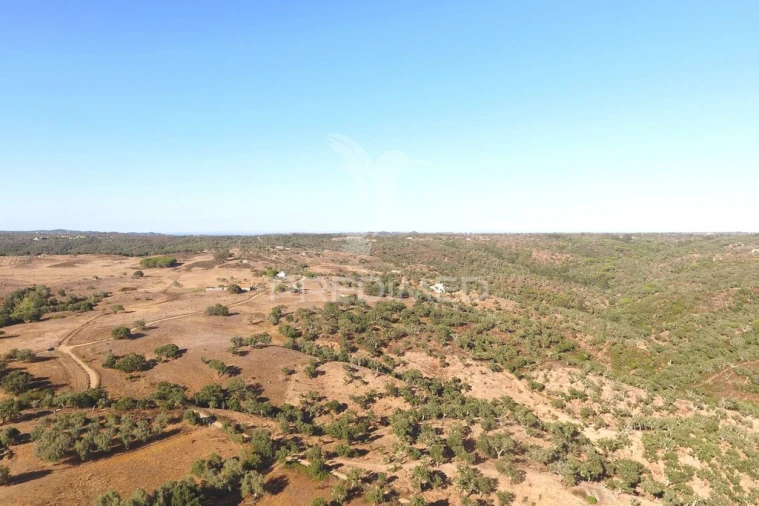 Terreno para Venda em São Francisco da Serra Foto 5