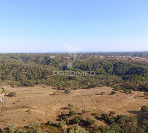Terreno para Venda em São Francisco da Serra Foto 3