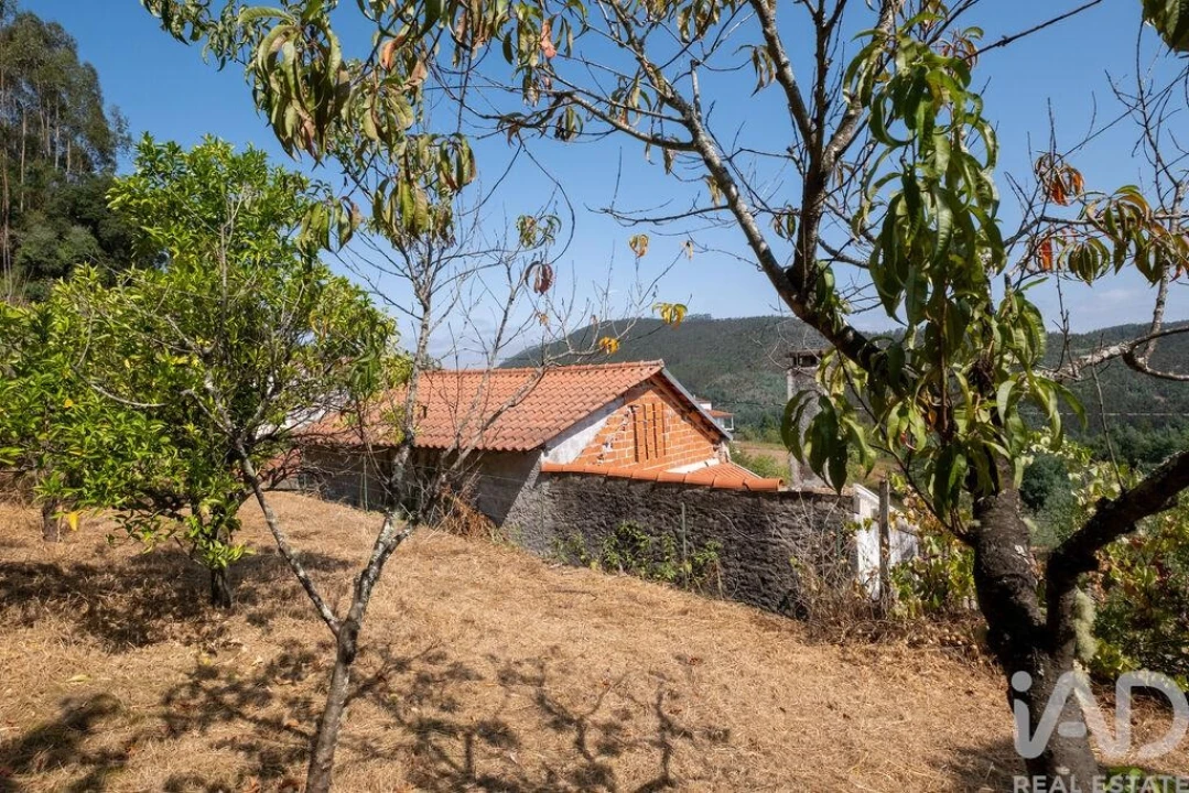 Moradia T2 para Venda em Penacova Foto 25