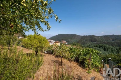 Moradia T2 para Venda em Penacova