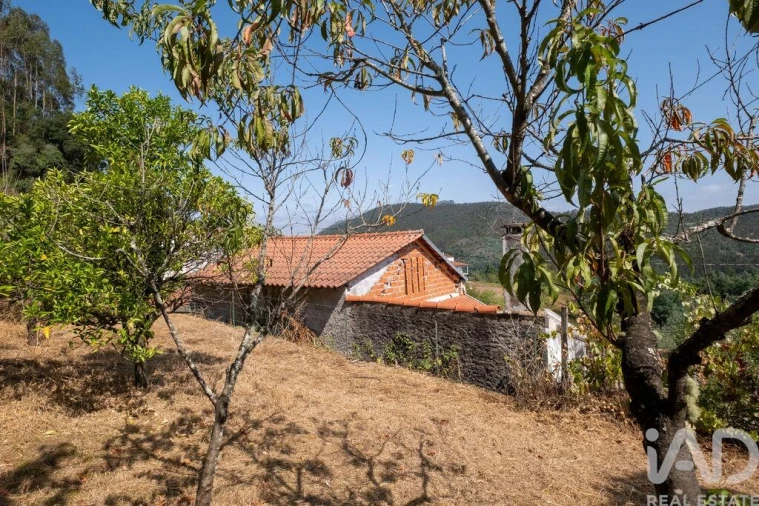 Moradia T2 para Venda em Penacova Foto 25
