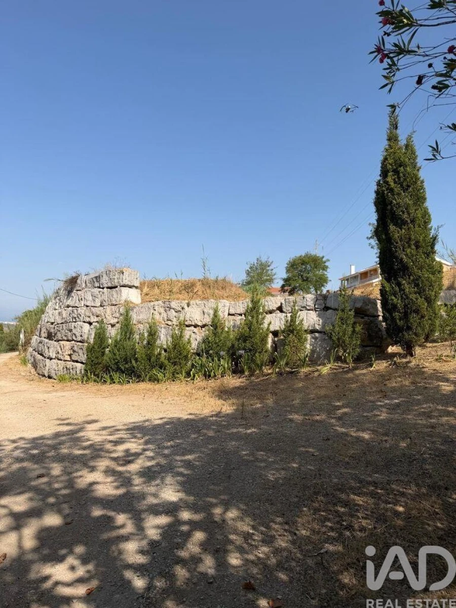Terreno para Venda em Lourinhã e Atalaia Foto 11