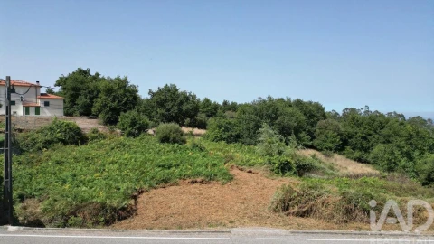 Terreno para Venda em Vila Nova