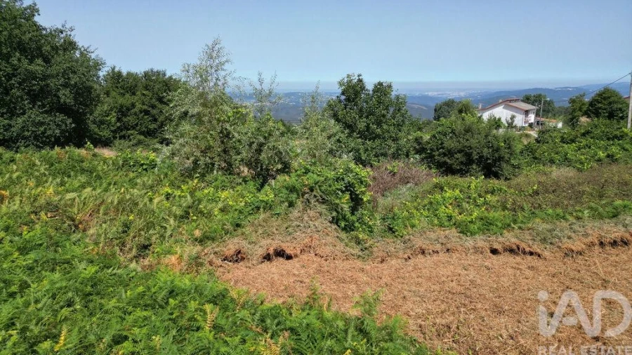 Terreno para Venda em Vila Nova Foto 16