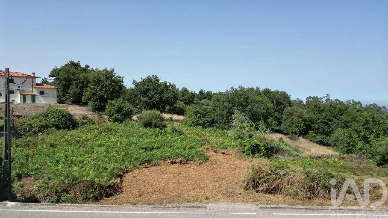 Terreno para Venda em Vila Nova Foto 12