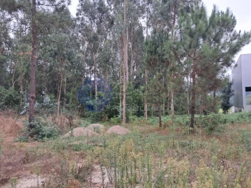 Terreno para Venda em Vandoma