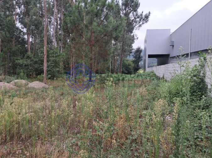 Terreno para Venda em Vandoma Foto 6