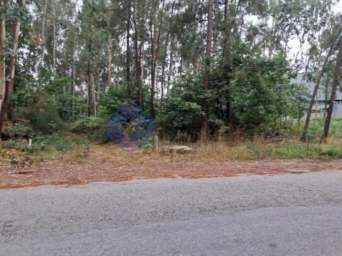 Terreno para Venda em Vandoma Foto 4