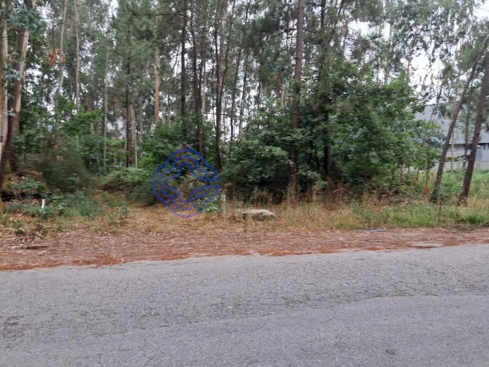 Terreno para Venda em Vandoma Foto 1