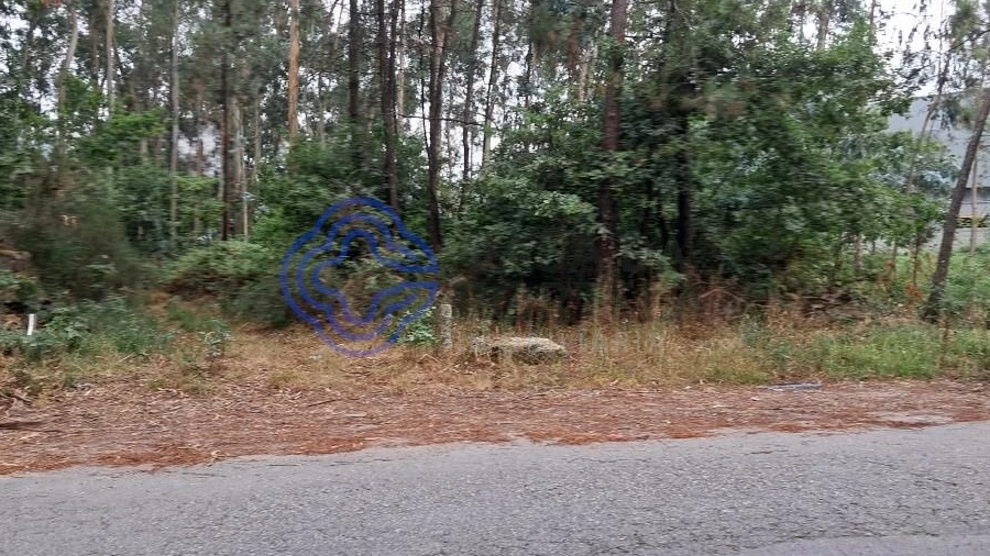 Terreno para Venda em Vandoma