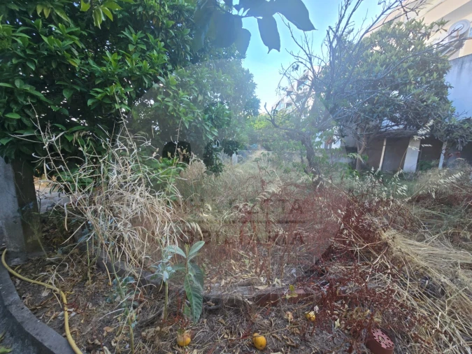 Moradia T4 para Venda em Gambia-Pontes-Alto da Guerra Foto 7